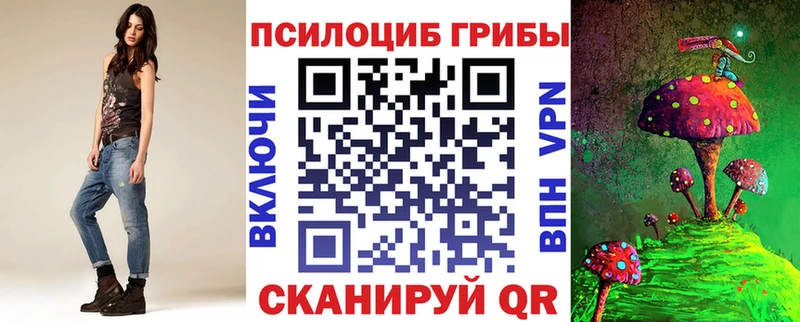 купить наркотик  Майский  МЕГА ссылка  Псилоцибиновые грибы Psilocybe 